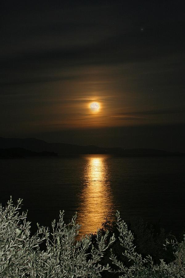 Vassilias Beach Vasilias  Dış mekan fotoğraf